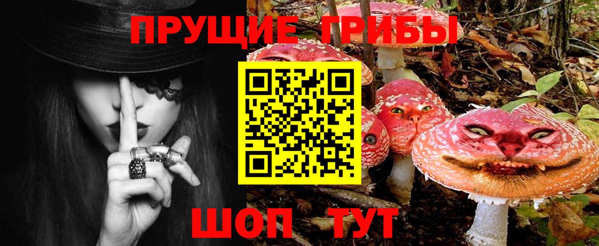 Александров  Галлюциногенные грибы прущие грибы  Вход с VPN 